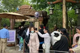 小宝宝的迪士尼游玩攻略图片