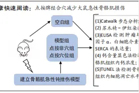 点按脾经合穴对急性钝挫伤大鼠骨骼肌炎症因子及钙离子稳态的影响图片