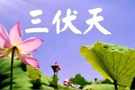 “伏里热不热，就看六月初一”，今日六月初一，有啥说法？了解下图片