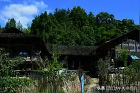 老知青讲故事——罗队长（下）图片