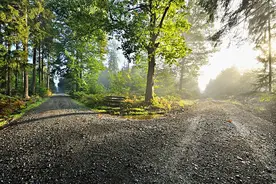 命运魔方·人生歧路，该如何选择？图片