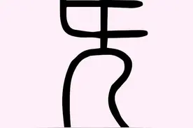 6、读《红楼梦》认生字词：“簪缨”怎么读，什么意思？图片