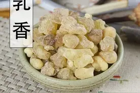 外伤科要药——乳香图片
