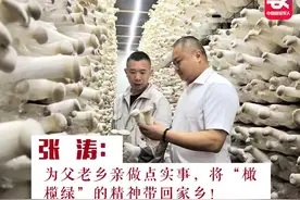 老班长退役回村种蘑菇，如今怎么样了？图片