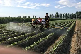 自走式打药机图片