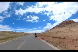 流浪狗跟骑行者跑了3天3夜，小伙被感动放弃旅行，搭车带它回拉萨图片