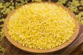五谷杂粮（粮食作物）图片