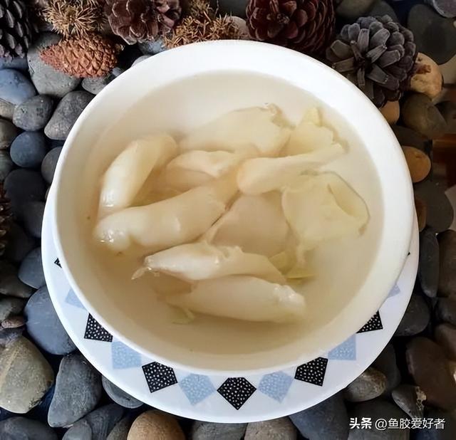 花胶蒸水多久 2026年花胶蒸水多久能吃