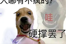 拯救精神内耗！当代年轻人的“发疯文学”be like...图片
