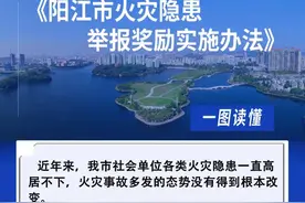一图读懂《阳江市火灾隐患举报奖励实施办法》图片