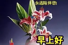 特漂亮微信早晨好祝福语表情动态图 最新早上好表情图片合集图片
