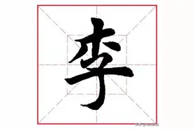 每日一字273：李图片