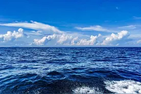 沧海微尘，浮生如寄图片