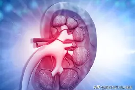 医生提醒：小便出现这3种表现，或是肾衰信号，建议及时就医图片