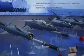 面对3000枚毒刺，我军如何破解对岸刺猬战术？俄空天军教训要警惕图片