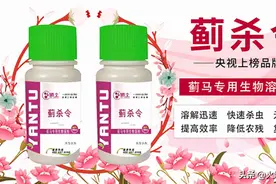 蓟马、螨虫打不住？试试这个妙方！纯生物溶剂，杀虫杀卵快速有效图片