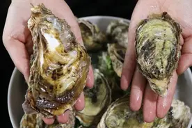 分享生蚝的4种家常做法，味道鲜美，口感爽滑，看着就流口水图片