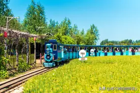 万亩稻浪看美景，稻田画里闻米香，就来沈阳稻梦空间图片