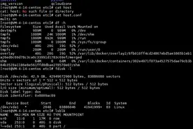 Linux日常小技巧之磁盘挂载图片