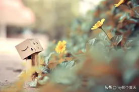 论，婚前性行为的利弊！到底是好是坏？图片