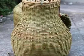 抓黄鳝的故事图片