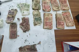 125张人民币发霉变质愁坏了八旬老人 人行营管部小心拆分鉴定兑换7550元图片
