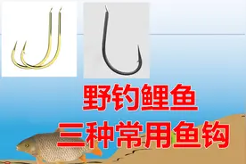野钓鲤鱼最常用三种鱼钩，学会灵活选用，大鱼上岸更简单图片