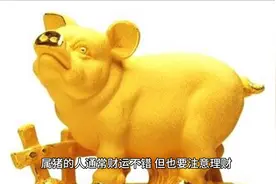 #生肖猪的人一生图片