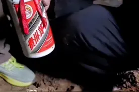 10年前存了一箱茅台，今日打开，气味难闻，像是坏了，咋回事？图片