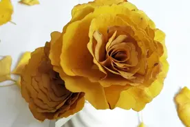 用皱纹纸，带你进入魅力无穷的纸花世界图片