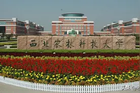 考研容易上岸的985——西北农林科技大学（过线就上的专业）图片