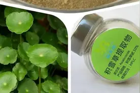 积雪苷霜软膏可以去除疤痕和痘印吗？效果如何呢？图片