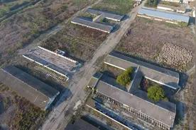 「创澳分享」规模化养殖场粪污造成环境污染的原因有多种方面图片