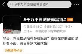 急！我家黑猫又失踪了！这已经是它这个月第56次消失图片