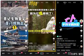 抖音再加码知识内容 上线学习频道图片