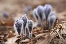 如果他总是这样跟你说话，其实是看不起你图片