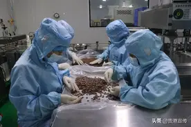 小小蚂蟥竟有大用处，这家企业靠它实现年产值上亿元图片