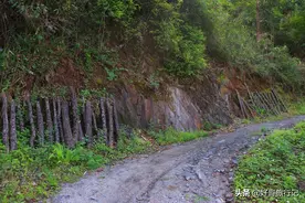 徒步秦岭深山，整条山沟只有两户人家，会不会很孤独？图片