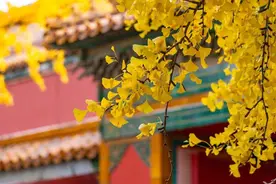 绵亿，五阿哥永琪唯一成年的儿子，嘉庆派他守陵，是不喜欢他吗？图片