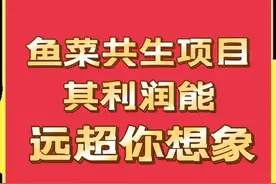 4亩地年入100万，鱼菜共生项目真这么赚钱吗？我们一起来看看吧！图片