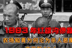 震惊全国的616大案，震怒了中央，引爆了83年全国声势浩大的严打图片