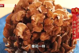 灰树花钾含量是香菇的10倍！和豆腐一搭，效果翻倍，味道更香图片