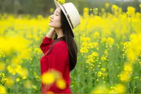 油菜花怎么拍才好看？别忽略这几点图片