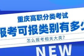 对口高职报考可报类别有多少？怎么报考相关大类？图片