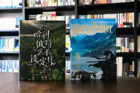 豆瓣9.0，这部《哈利波特》宝藏周边，一定要看图片