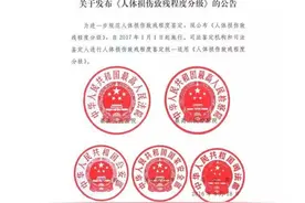 《人体损伤致残程度分级》及理解图片