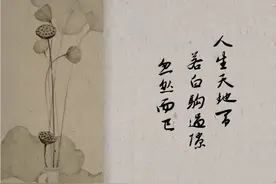 我在台企20年，感受台湾那些事图片