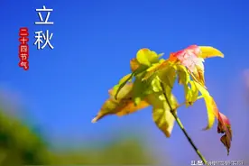 明日立秋，老人说“立秋吃一宝，不往医院跑”，具体指啥？咋吃？图片