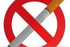 怀孕期间到底啥东西不能吃？图片