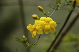 喜欢炫耀的人，多半是这几种结局图片